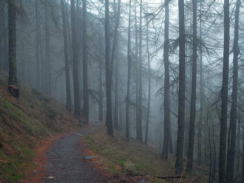 Plaza Central LED (W→E) — Av. 27 Feb. esq. Churchill