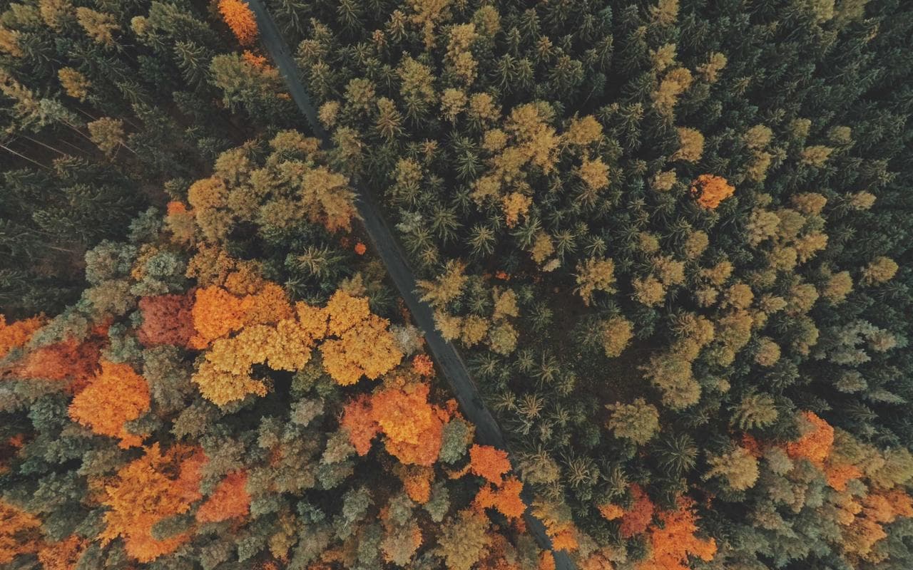 Pantalla Av. 27 Feb. Esq. Lincoln