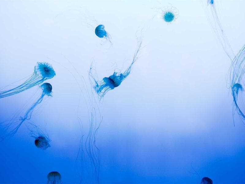 Vertica Vertical — Av. 27 de Febrero esq. Federico Geraldino